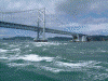 大鳴門橋と鳴門のうず潮(5)