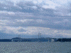 うずしお観潮船 日本丸から見る大鳴門橋(11)