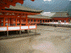 厳島神社(8)