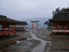 厳島神社(10)