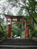 弥彦神社(1)