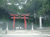 弥彦神社(2)