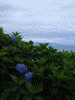 弥彦山頂からの眺め(11)