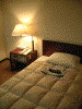 グリーンホテル松江の部屋