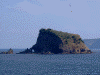島前から島後へ向かう途中の島影(5)/小森島
