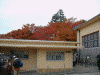 箱根美術館の紅葉(2)