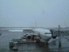 JAL509 ΂ɓ