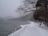 吹雪いている十和田湖の湖岸