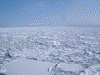 「お〜ろら２」から眺める流氷(11)