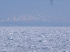 「お〜ろら２」から眺める流氷(12)