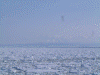 「お〜ろら２」から眺める流氷(15)