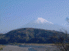 富士川楽座から見た富士山(1)