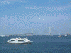 横浜港観光船「マリーンルージュ」(1)