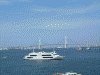 横浜港観光船「マリーンルージュ」(2)