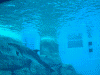 イルカの水槽(2)