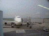 JAL1163便 函館行き(B747)