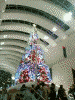 クイーンズスクエア ａｔ！３のクリスマスツリー(1)