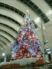 クイーンズスクエア ａｔ！３のクリスマスツリー(2)