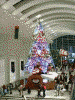 クイーンズスクエア ａｔ！３のクリスマスツリー(3)