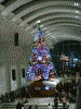 クイーンズスクエア ａｔ！３のクリスマスツリー(4)