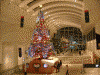クイーンズスクエア ａｔ！３のクリスマスツリー(2)