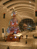 クイーンズスクエア ａｔ！３のクリスマスツリー(3)