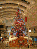 クイーンズスクエア ａｔ！３のクリスマスツリー(5)