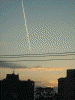 夕焼けに向かって飛行機が飛んでいく