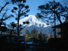ホテル鐘山苑から見える富士山(3)