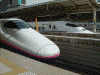 東北新幹線「はやて」と東海道新幹線「ひかり」