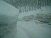 バスの背丈ほどある雪の壁の中を進む(1)