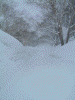 谷地温泉から出る道。大きな雪の壁に覆われています
