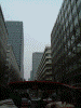 スカイバス東京からの眺め(39)/丸の内仲通りを通る