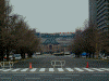 皇居外苑から見る東京駅