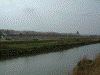 県境の橋からの権現堂桜堤の眺め
