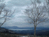 黒森展望台から見る田沢湖(1)