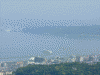 別府湾サービスエリアからの眺め(4)/別府湾を出港するさんふらわあが見えます