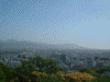 松山城からの眺め(1)/市駅方面