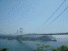 糸山公園から見る来島海峡大橋(2)