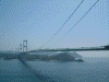 糸山公園から見る来島海峡大橋(3)