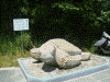 亀老山展望台に出来た亀の石像