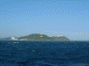 伊良湖岬(4)