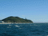 伊良湖岬(8)