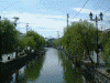 柳川を歩く(4)