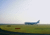 JAL1661便が離陸するまでの羽田空港の様子(7)/離陸しようとしているANA機