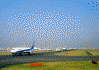 JAL1661便が離陸するまでの羽田空港の様子(11)/出発渋滞。飛行機の大きさが違うのが面白いです