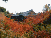 東福寺(4)／臥雲橋から通天橋を望む
