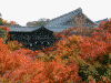 東福寺(6)／臥雲橋から通天橋を望む