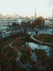 東京タワーと毛利庭園を眺める(2)