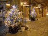 六本木ヒルズのミニクリスマスツリー